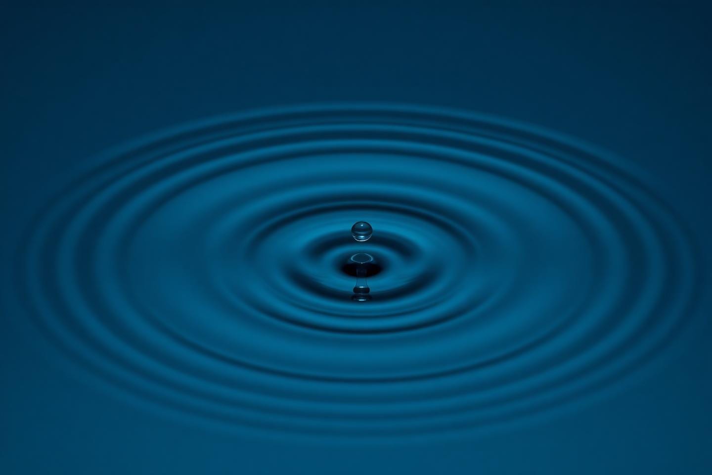 A single droplet forming a concentric ripple on still water