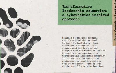 Transformative leadership education: a cybernetics-inspired approach